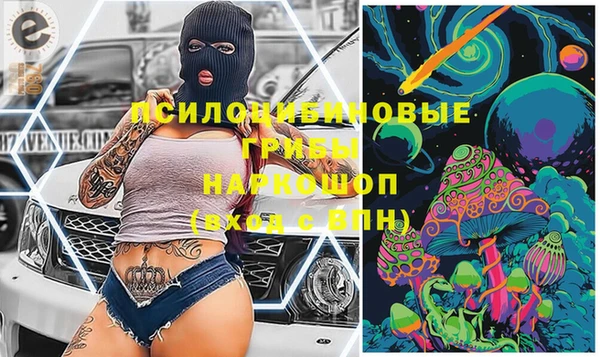 сатива Михайловка
