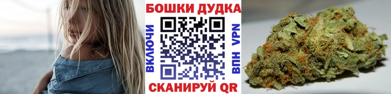 Шишки марихуана Amnesia дарнет шоп Холм